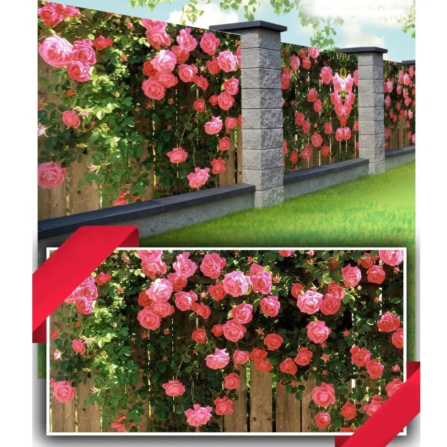 Zahradní banner – venkovní fototapeta Růže (82780001)