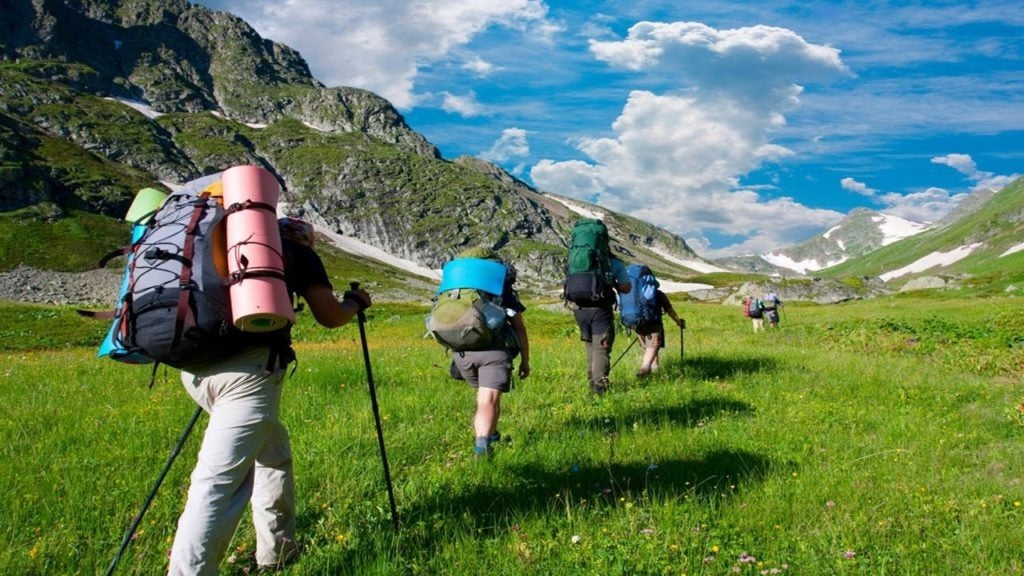 Teleskopické trekingové hole Nordic Walking (4717)