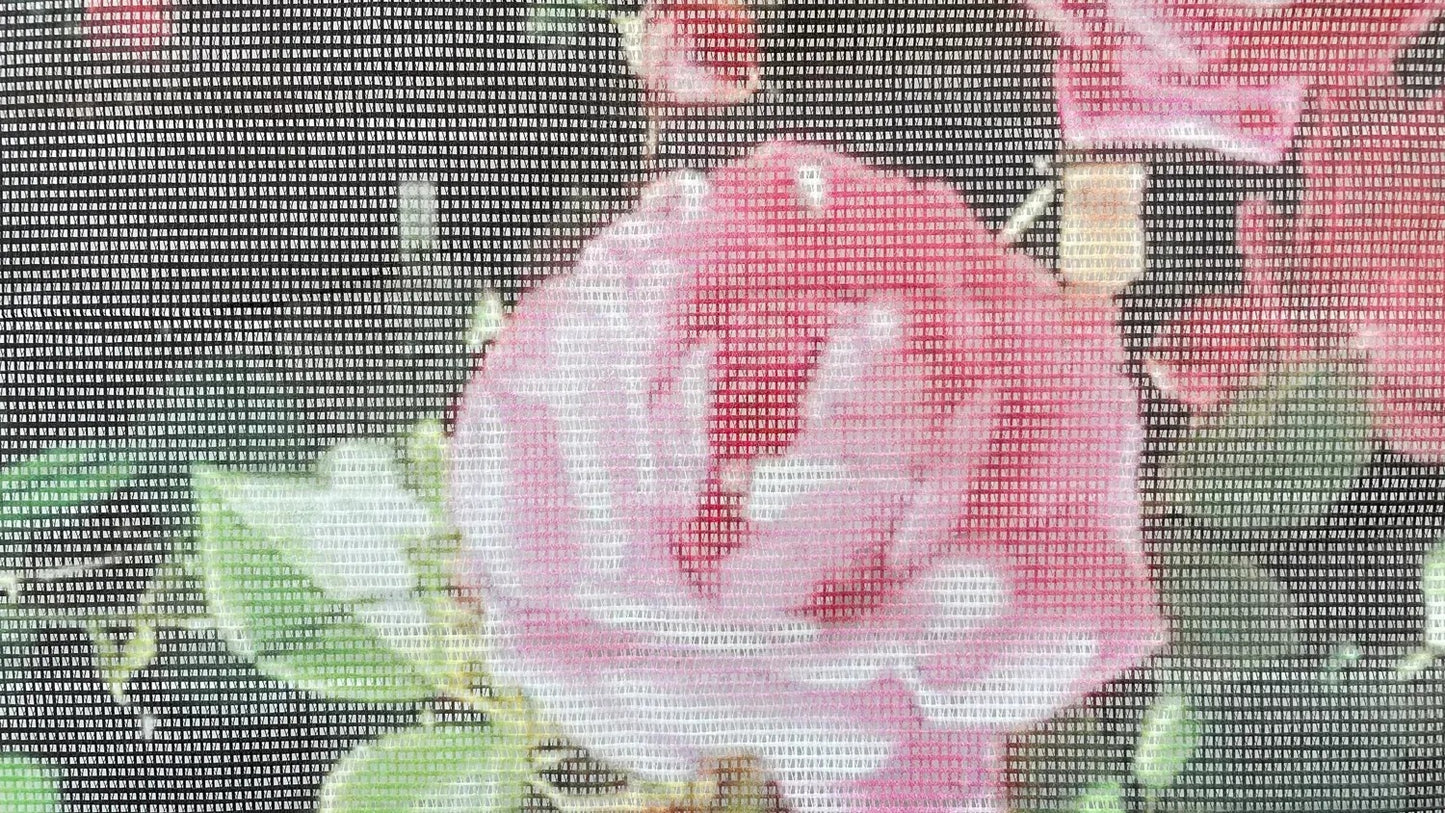 Zahradní banner – venkovní fototapeta Růže (82780001)